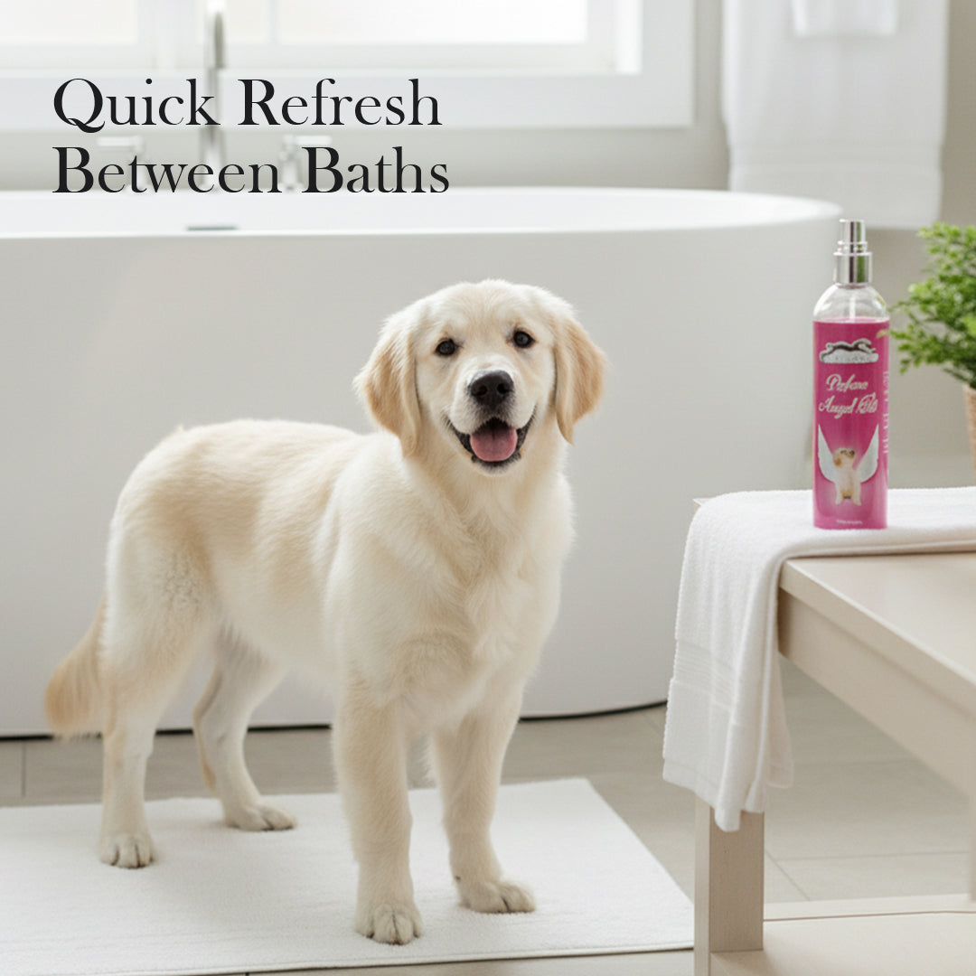 Pets Empire Dog Perfume- Angel Pet