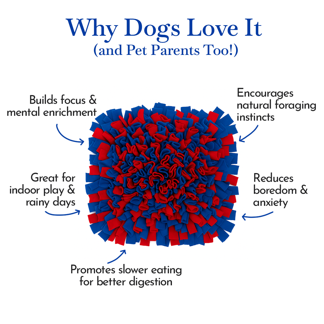 Pets Empire Interactive Snuffle Mat for Dogs – Stimulating Sniff & Play Mat (Red & Blue)