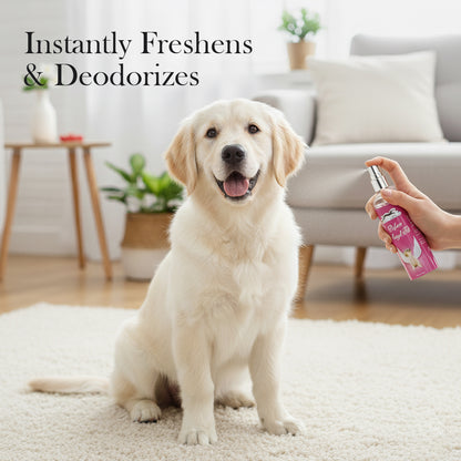 Pets Empire Dog Perfume- Angel Pet