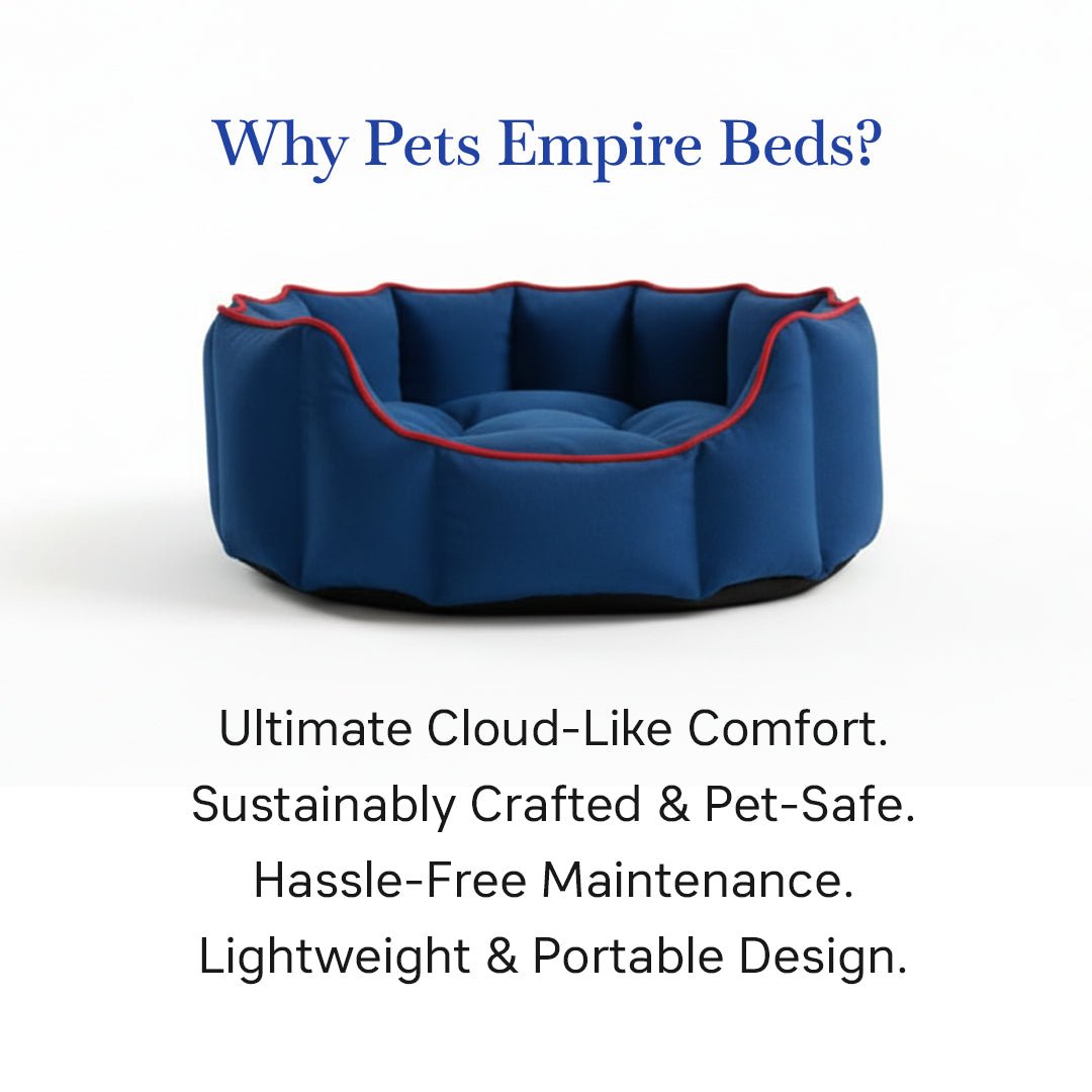 Pets Empire Cozy Midnight Blue Bed for Dogs & Puppies