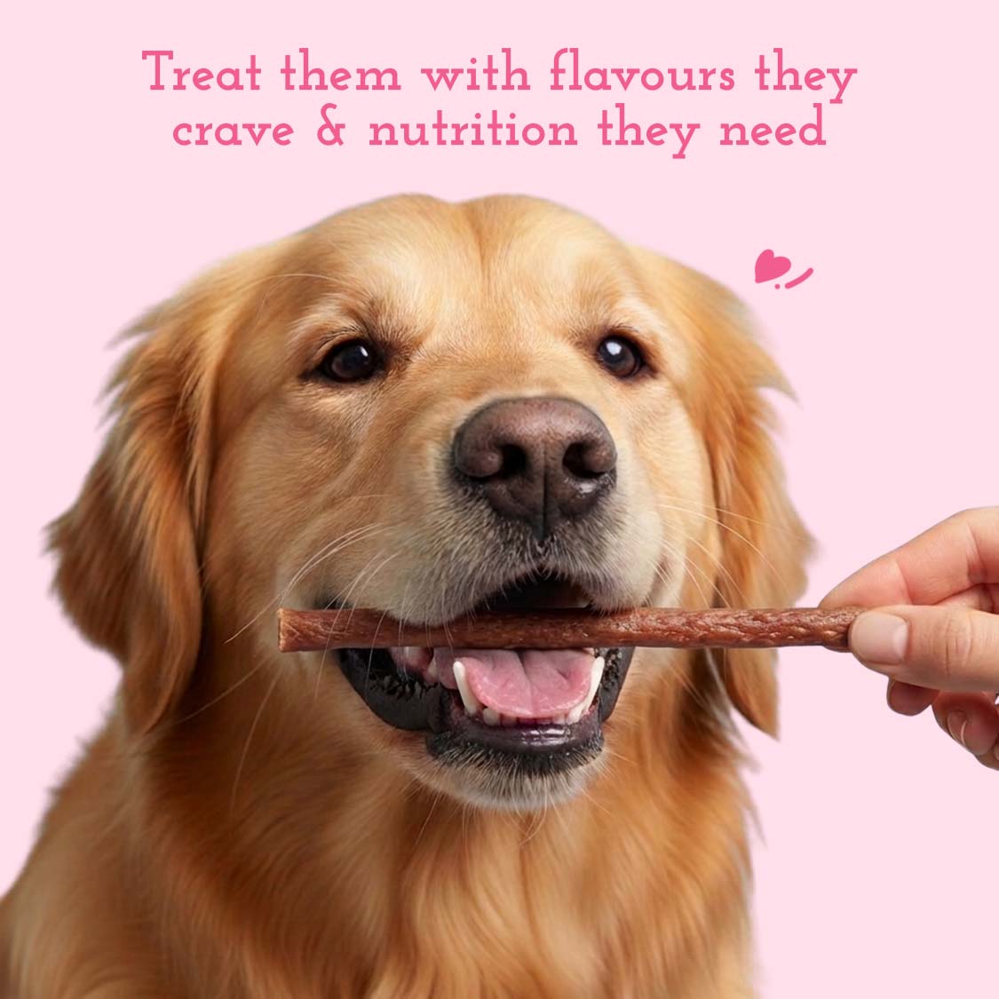 Pets Empire  Barkbite Chew Stix For Dogs