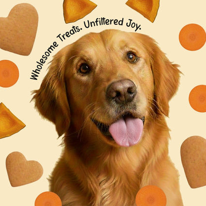 Pets Empire barkbites Carrot & Pumkin Jar- 350g