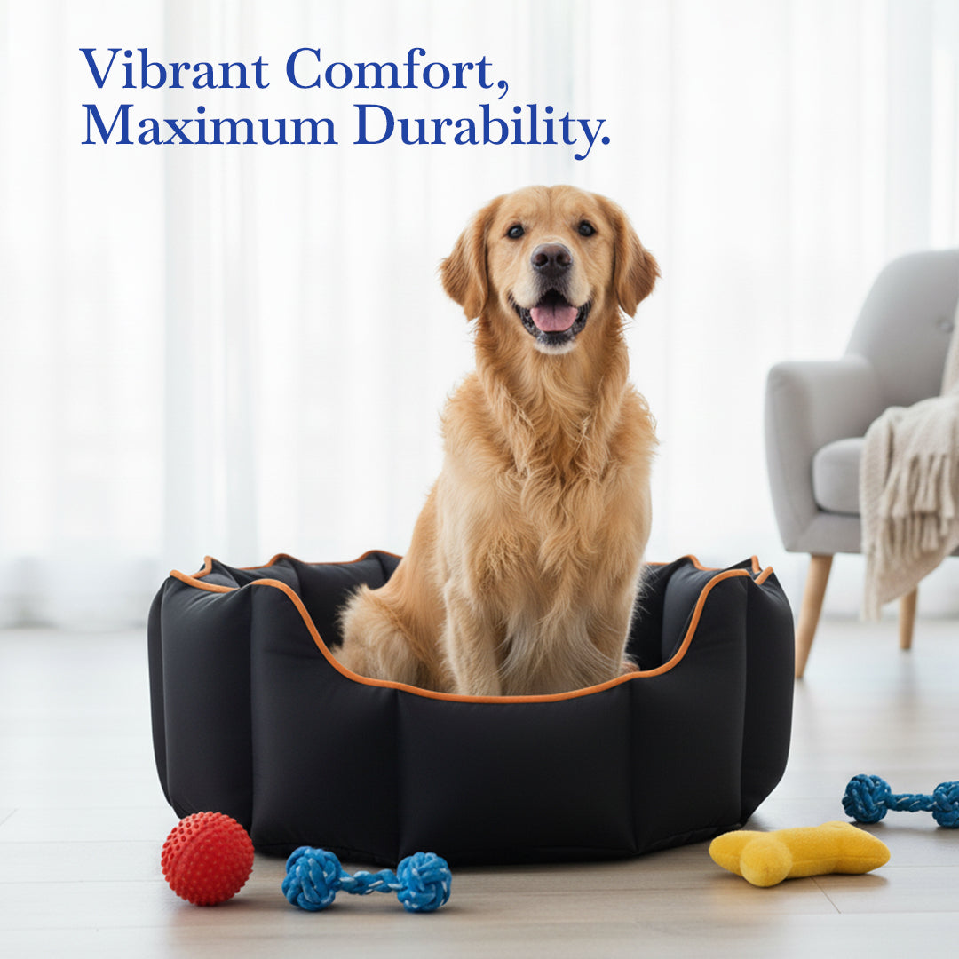 Pets Empire Cozy Charcoal Black Bed for Dogs & Puppies