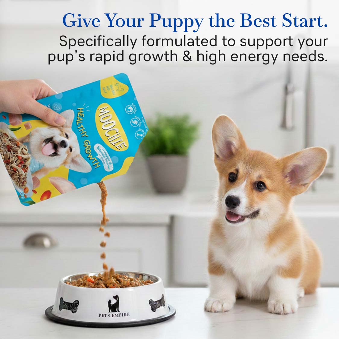 Moochie Healthy Growth Wet Dog Food – 85g Pouches | Nutritious Meal for Puppies & Adult Dogs