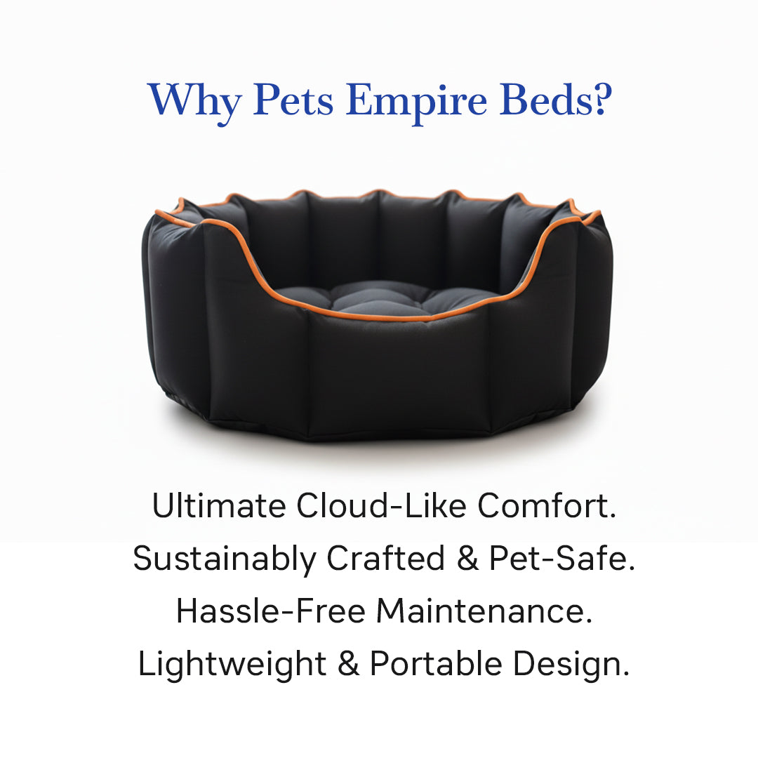 Pets Empire Cozy Charcoal Black Bed for Dogs & Puppies