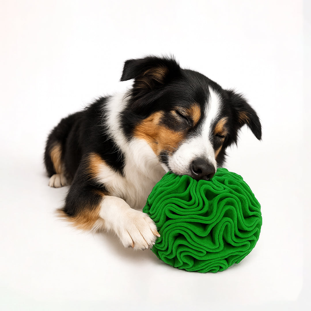 Pets Empire Interactive Snuffle Ball for Dogs – Stimulating Sniff & Play Ball (Green)