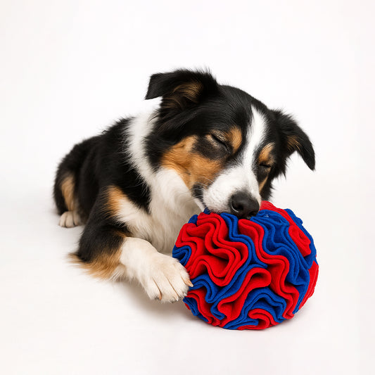 Pets Empire Interactive Snuffle Ball for Dogs – Stimulating Sniff & Play Ball (Blue & Red)