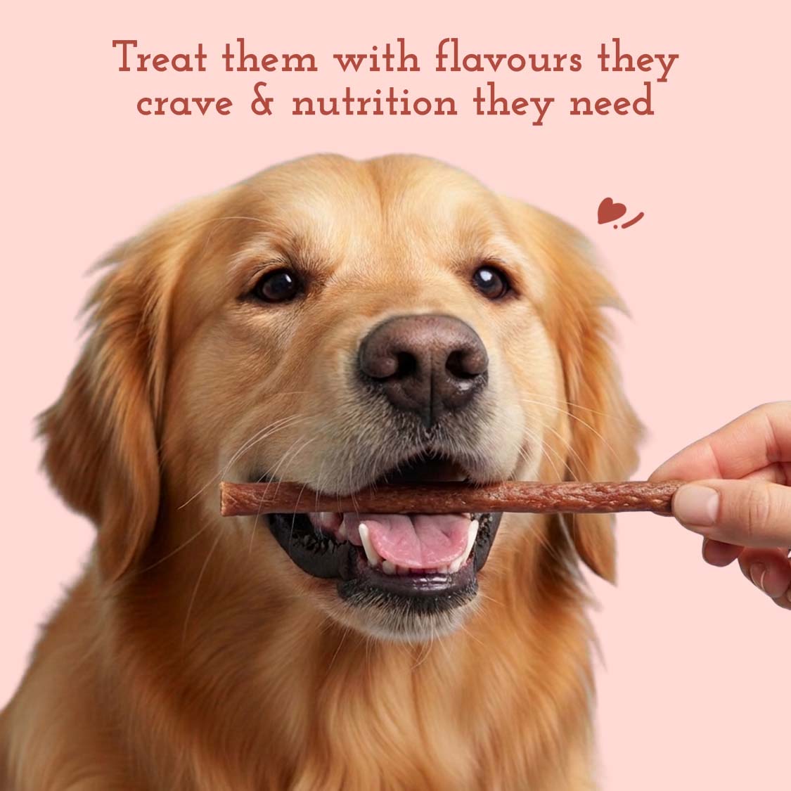 Pets Empire  Barkbite Chew Stix For Dogs