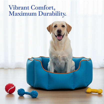 Pets Empire Cozy Electric Blue Bed for Dogs & Puppies