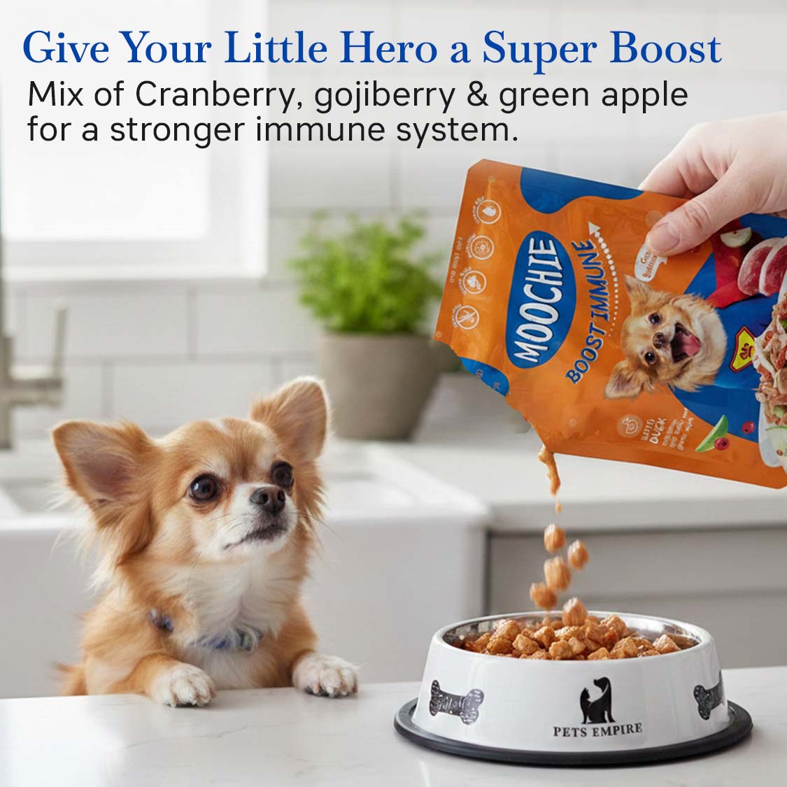 Moochie Boost Immune Wet Dog Food – 85g Pouches | Strengthen Immunity & Support Vitality