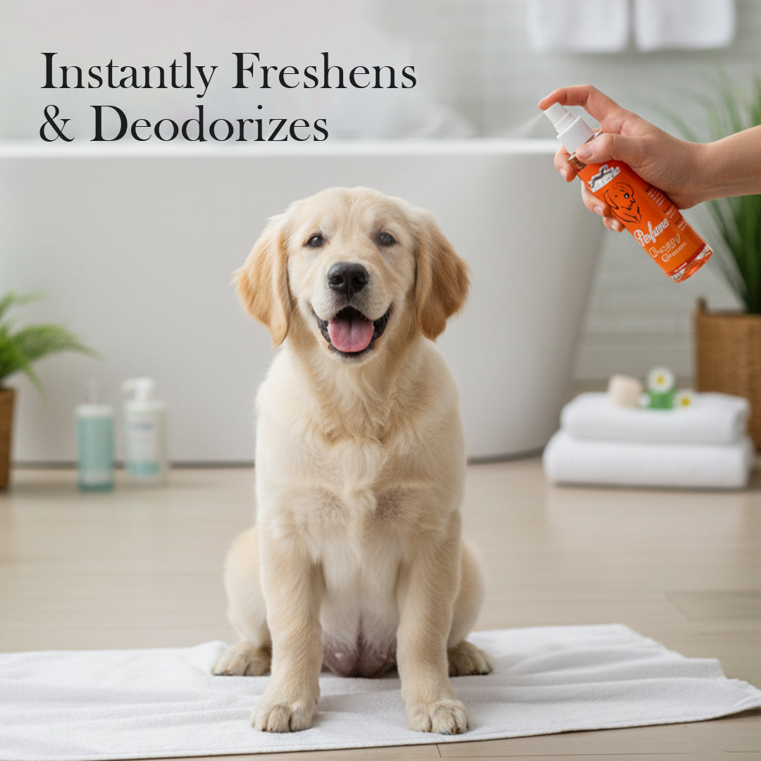 Pets Empire Doggy Dreams Perfume for Dogs