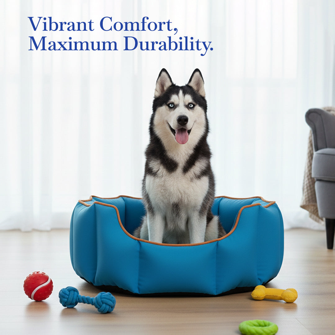 Pets Empire Cozy Electric Blue Bed for Dogs & Puppies