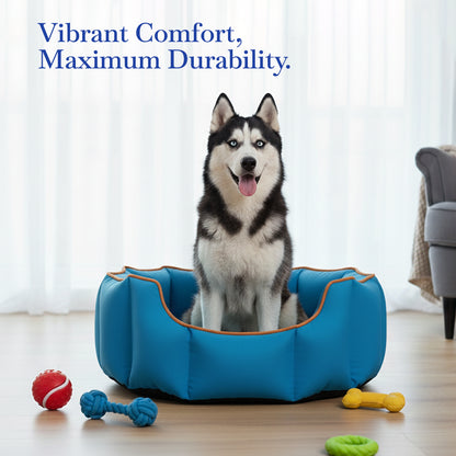 Pets Empire Cozy Electric Blue Bed for Dogs & Puppies