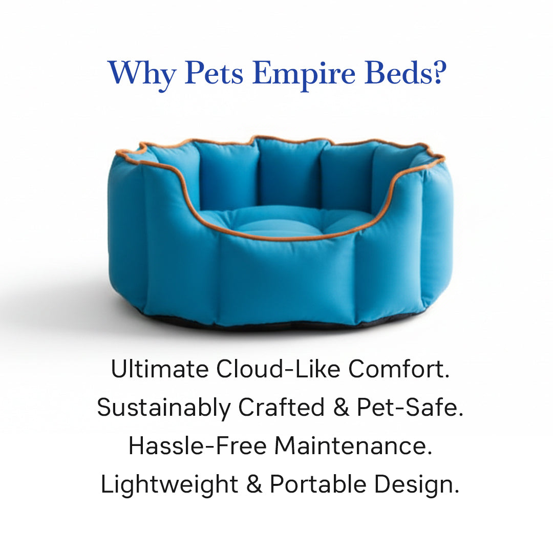 Pets Empire Cozy Electric Blue Bed for Dogs & Puppies