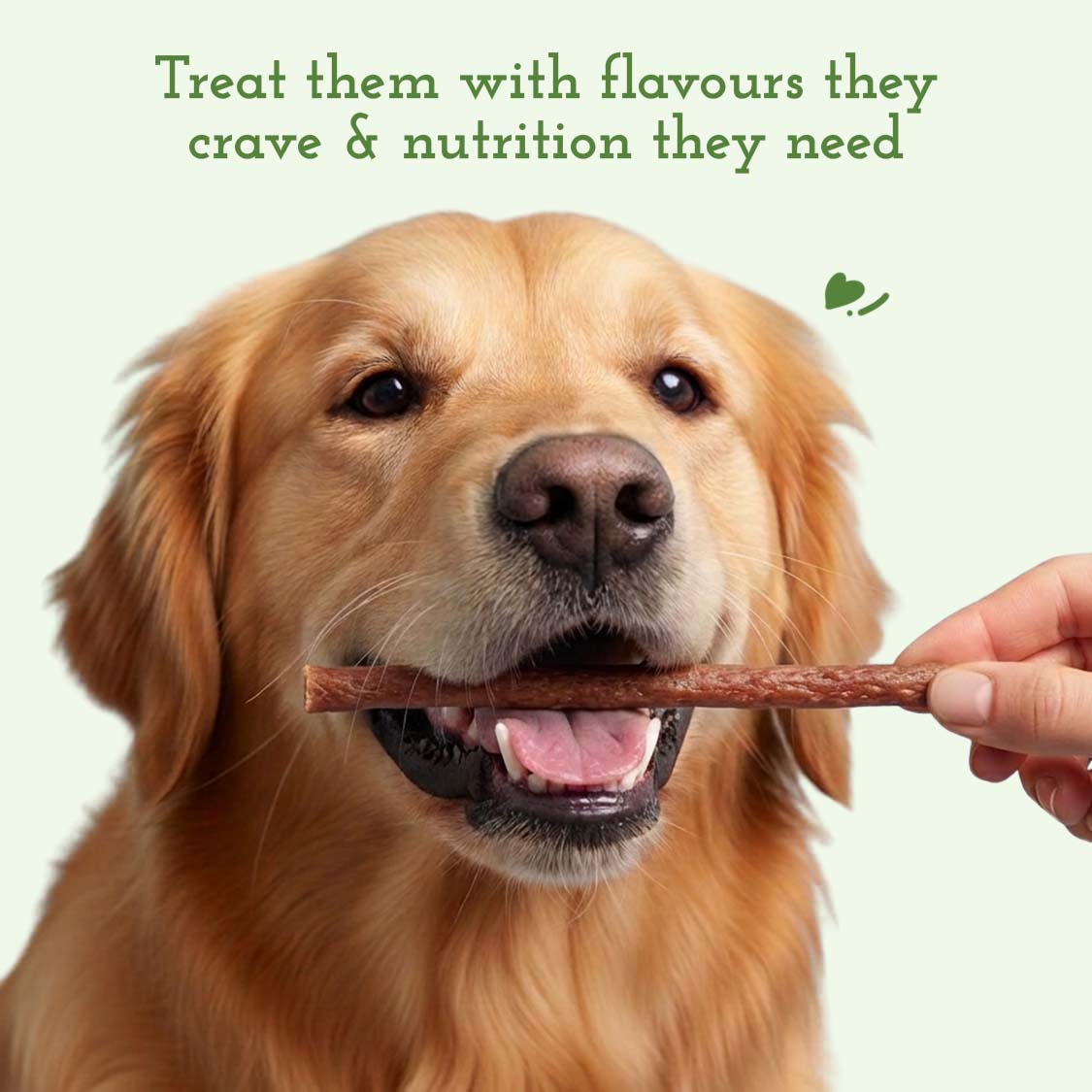 Pets Empire Barkbites Stix For Dogs- Chicken & Spinach (100gms)