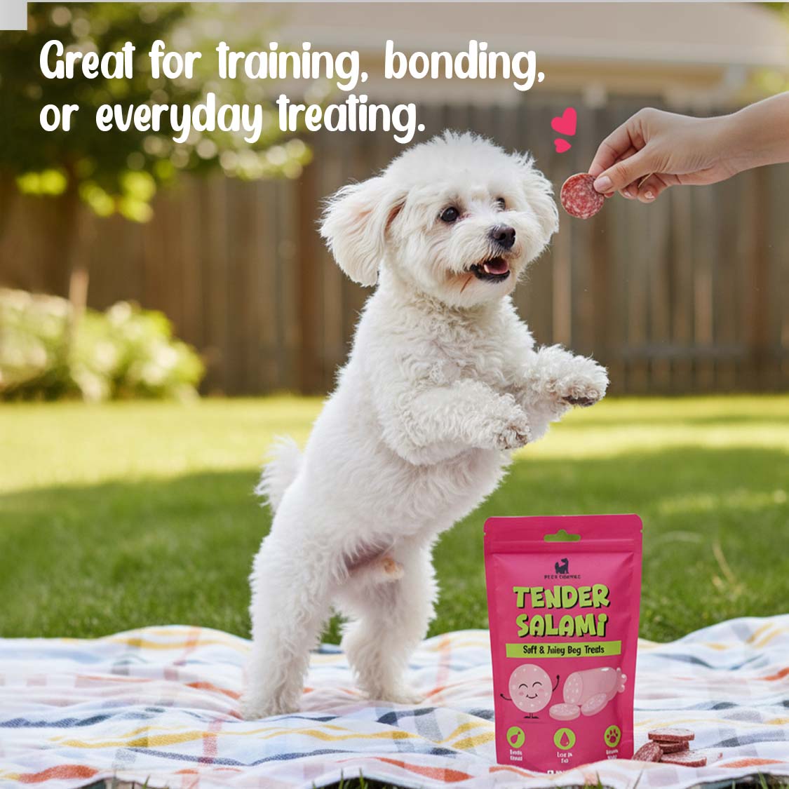 Pets Empire Tender Salami Treat For Dogs ( 100gms)