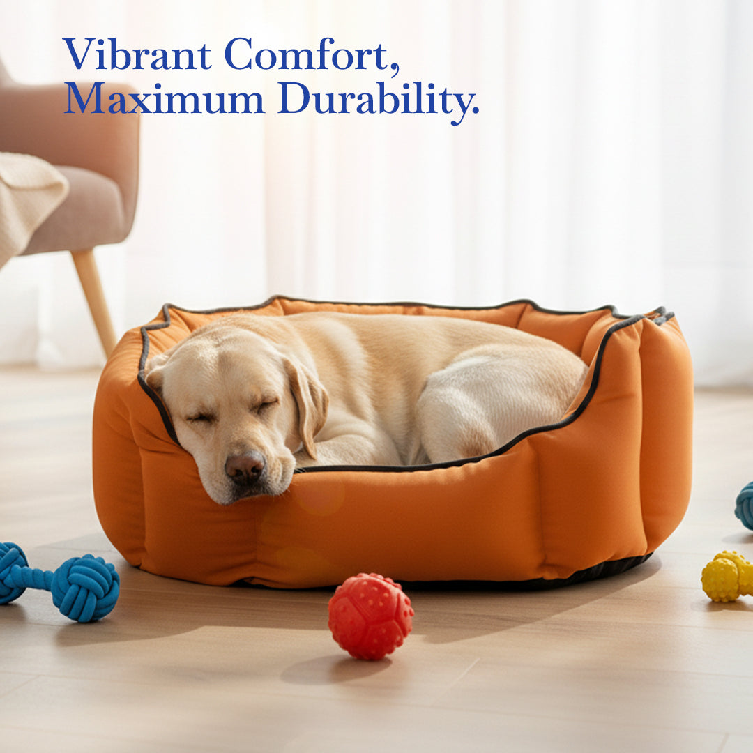 Pets Empire Cozy Tangerine Orange Bed for Dogs & Puppies