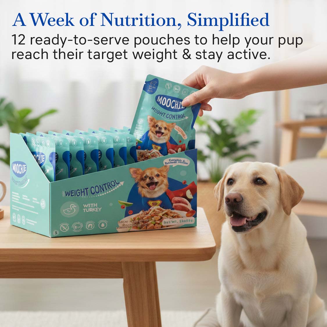 Moochie Weight Control Wet Dog Food – 85g Pouch | Low Fat Meal for Healthy Weight Management