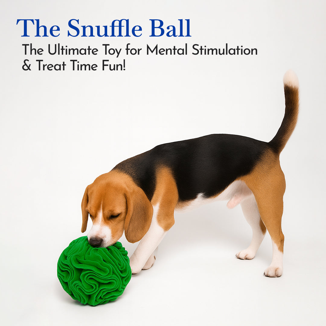 Pets Empire Interactive Snuffle Ball for Dogs – Stimulating Sniff & Play Ball (Green)