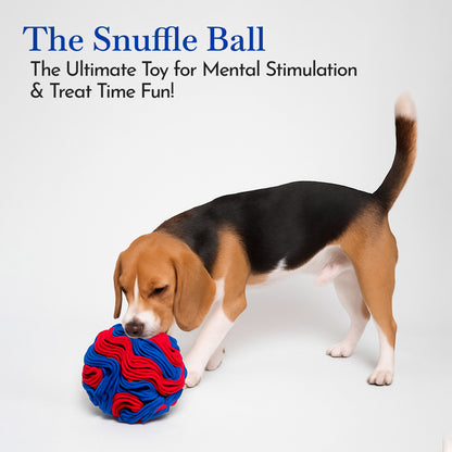 Pets Empire Interactive Snuffle Ball for Dogs – Stimulating Sniff & Play Ball (Blue & Red)