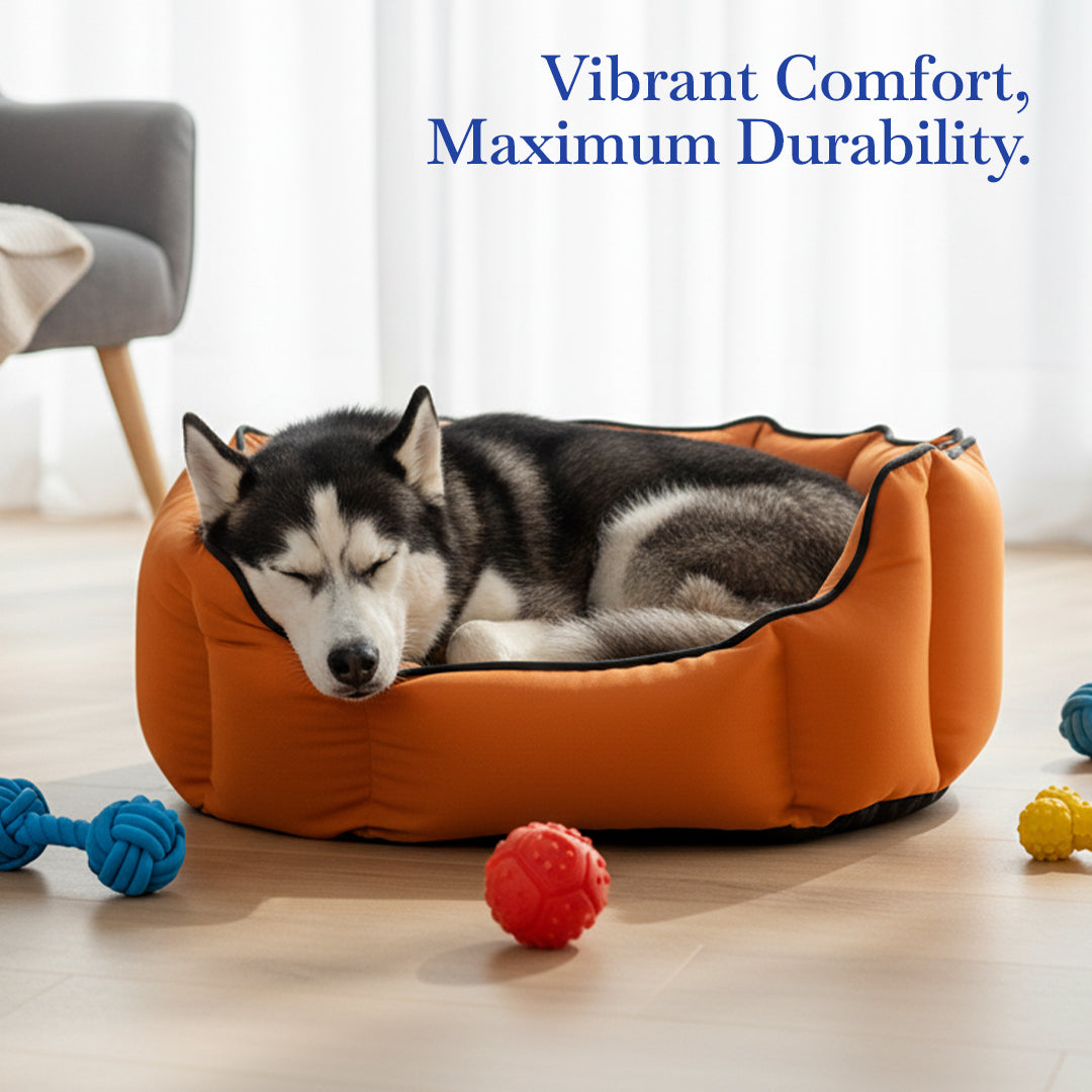 Pets Empire Cozy Tangerine Orange Bed for Dogs & Puppies