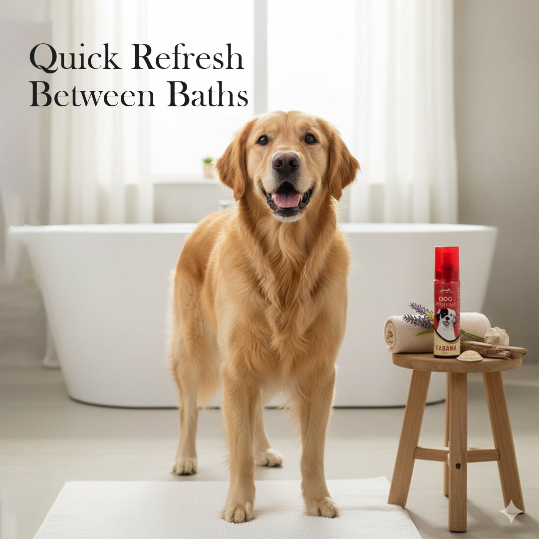 Pets Empire Cabana Dog Perfume for Dogs
