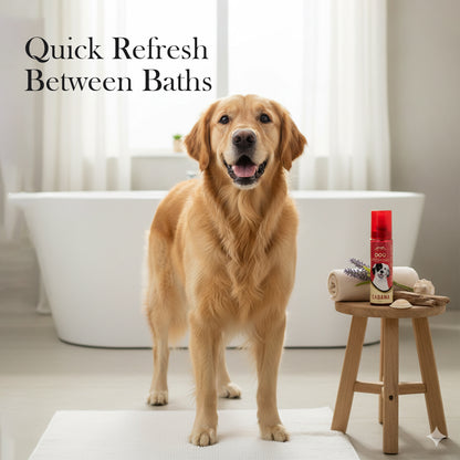 Pets Empire Cabana Dog Perfume for Dogs