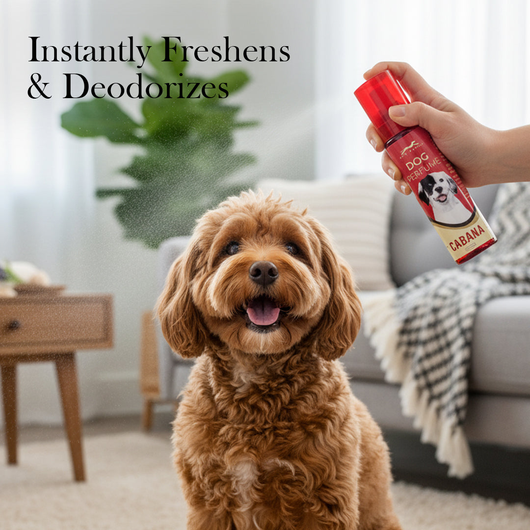 Pets Empire Cabana Dog Perfume for Dogs