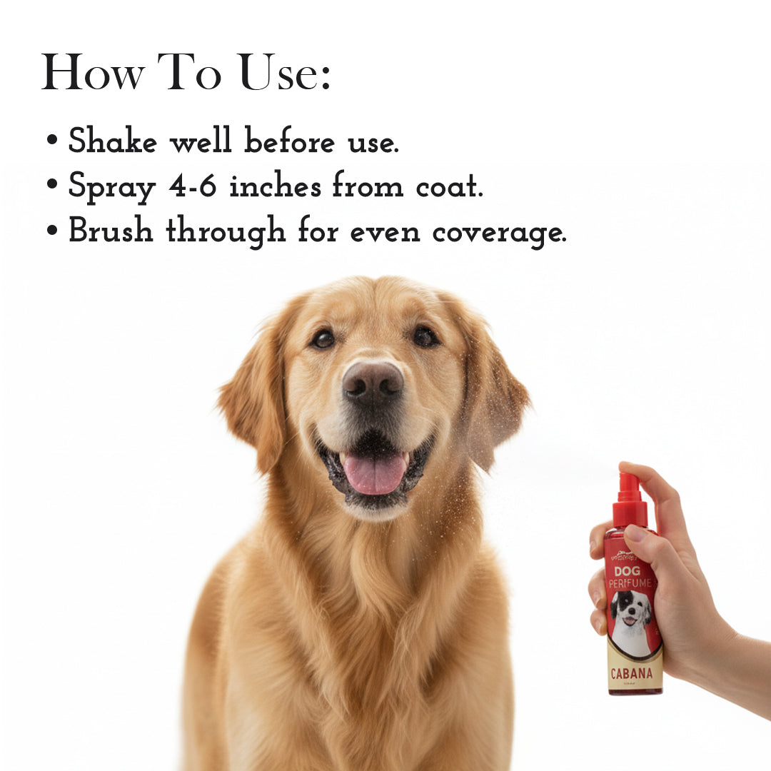 Pets Empire Cabana Dog Perfume for Dogs