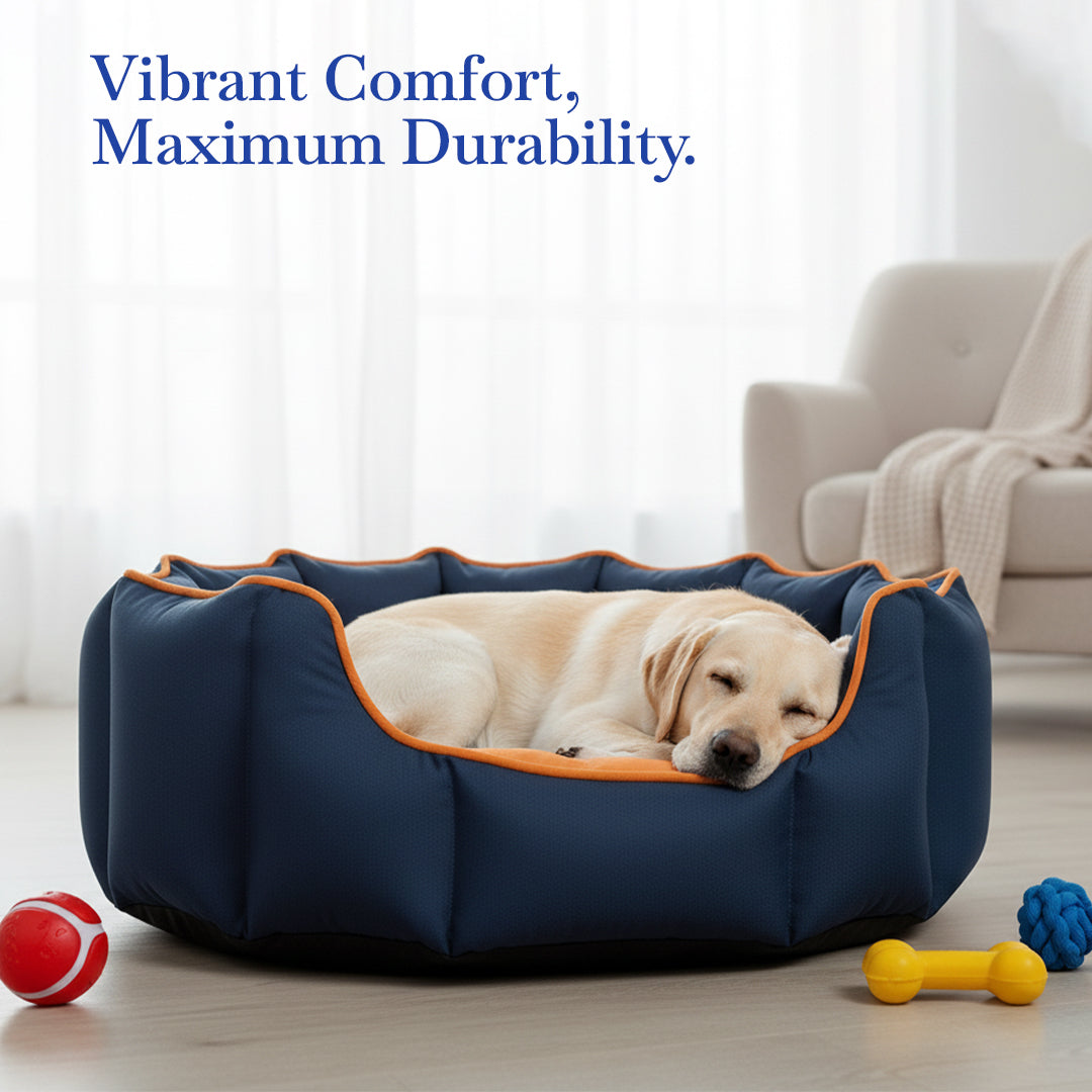 Pets Empire Cozy Deep Sea & Sunset  Bed for Dogs & Puppies