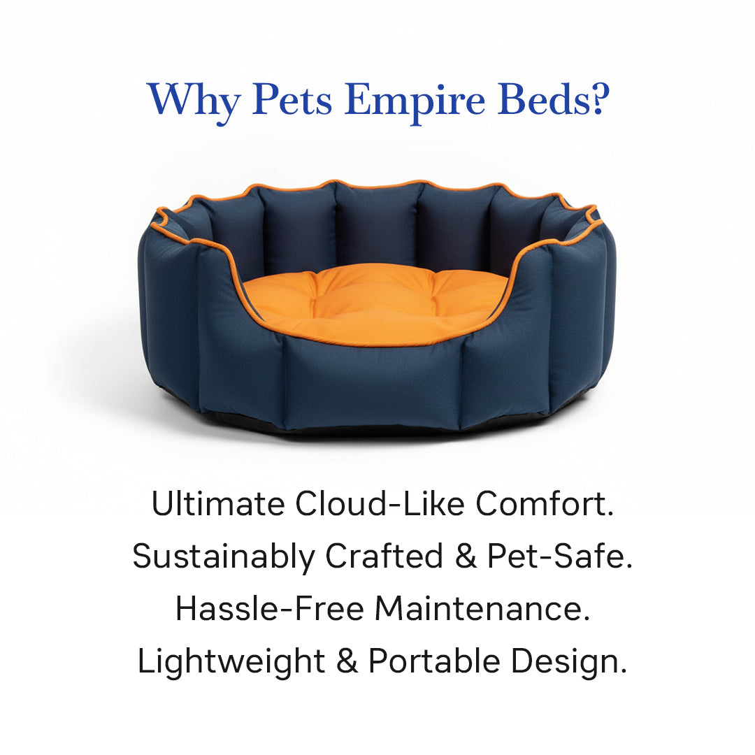 Pets Empire Cozy Deep Sea & Sunset  Bed for Dogs & Puppies