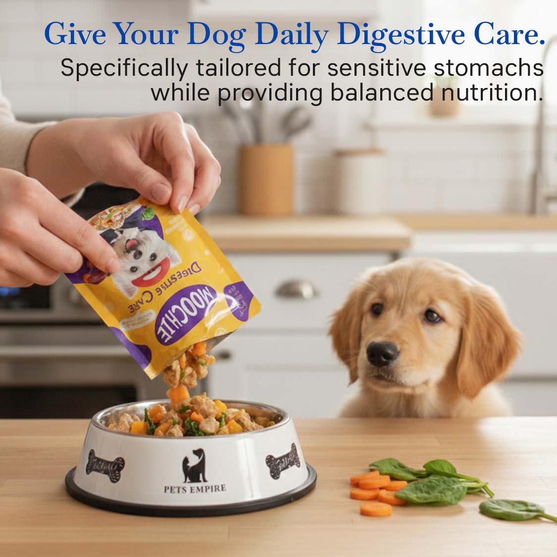 Moochie Digestive Care Wet Dog Food – 85g Pouch | Supports Healthy Digestion & Gut Wellness