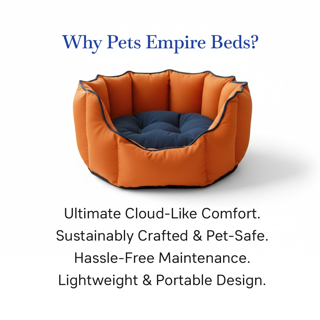 Pets Empire Cozy Pumpkin Spice Bed for Dogs & Puppies