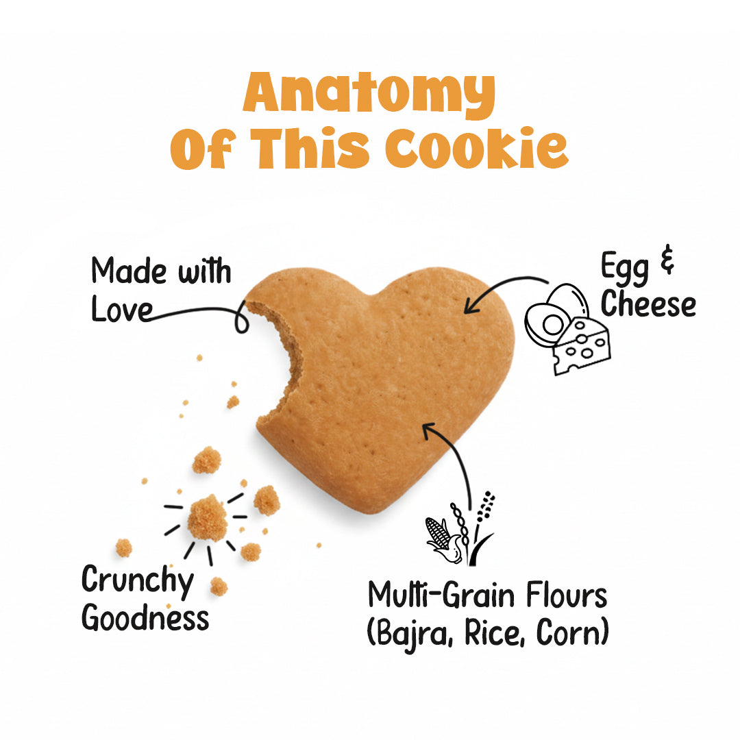 Pets Empire barkbites Egg & Cheese Biscuit Jar- 350g