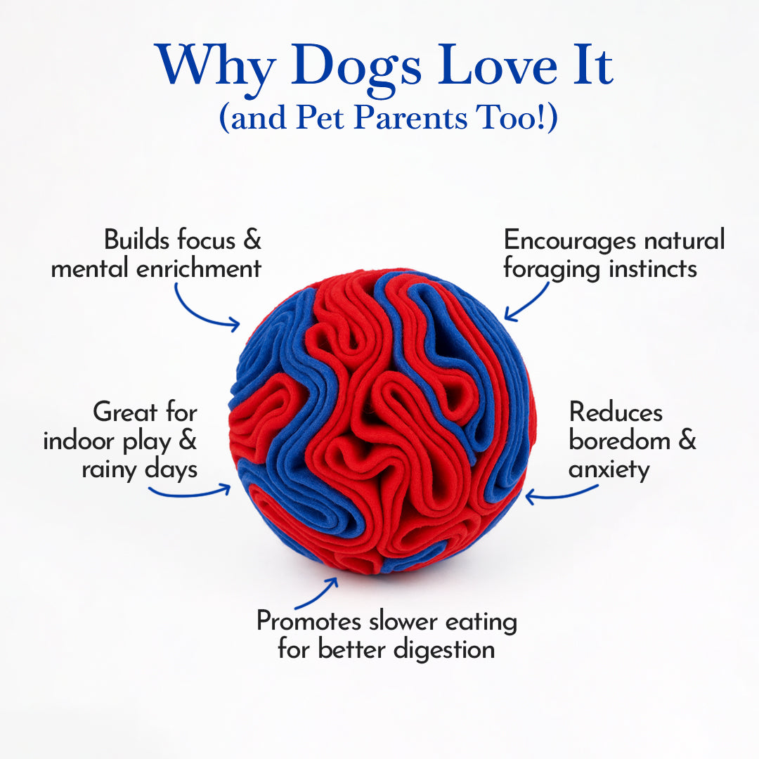 Pets Empire Interactive Snuffle Ball for Dogs – Stimulating Sniff & Play Ball (Blue & Red)