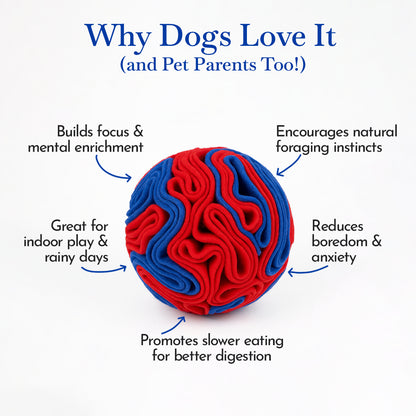 Pets Empire Interactive Snuffle Ball for Dogs – Stimulating Sniff & Play Ball (Blue & Red)