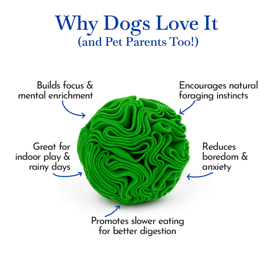 Pets Empire Interactive Snuffle Ball for Dogs – Stimulating Sniff & Play Ball (Green)