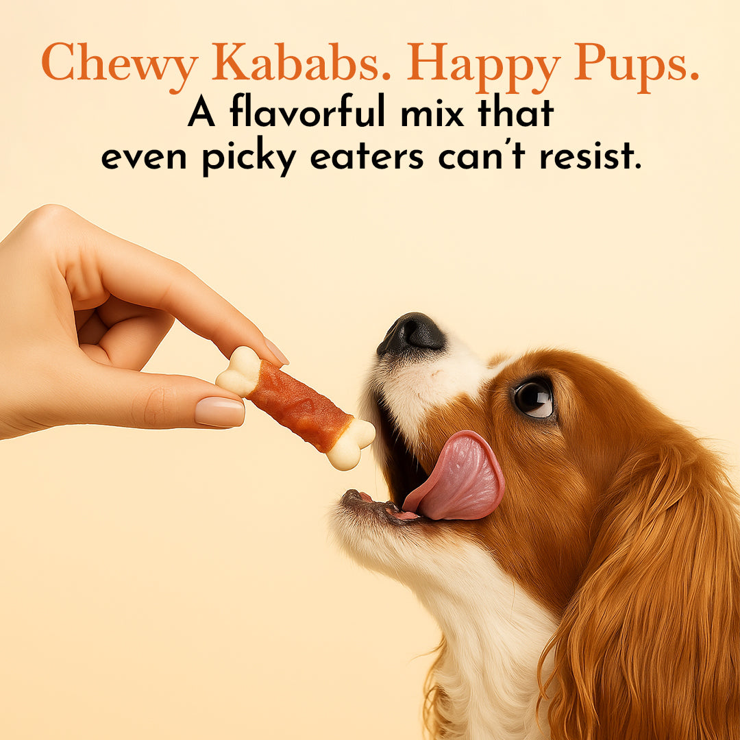 O'Dog Chicken, Duck and Liver Kabobs Stick (100g)