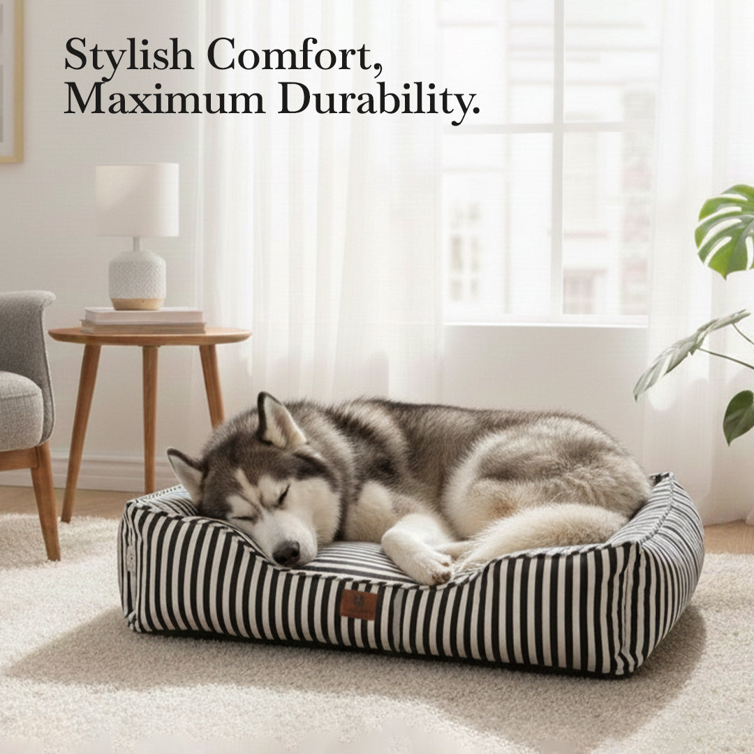 Pets Empire Monochrome Comfort Bed For dogs