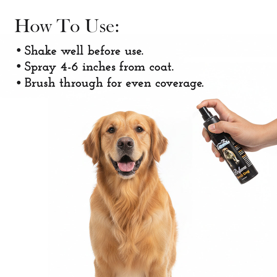 Pets Empire Devil Dog Perfume for Dogs