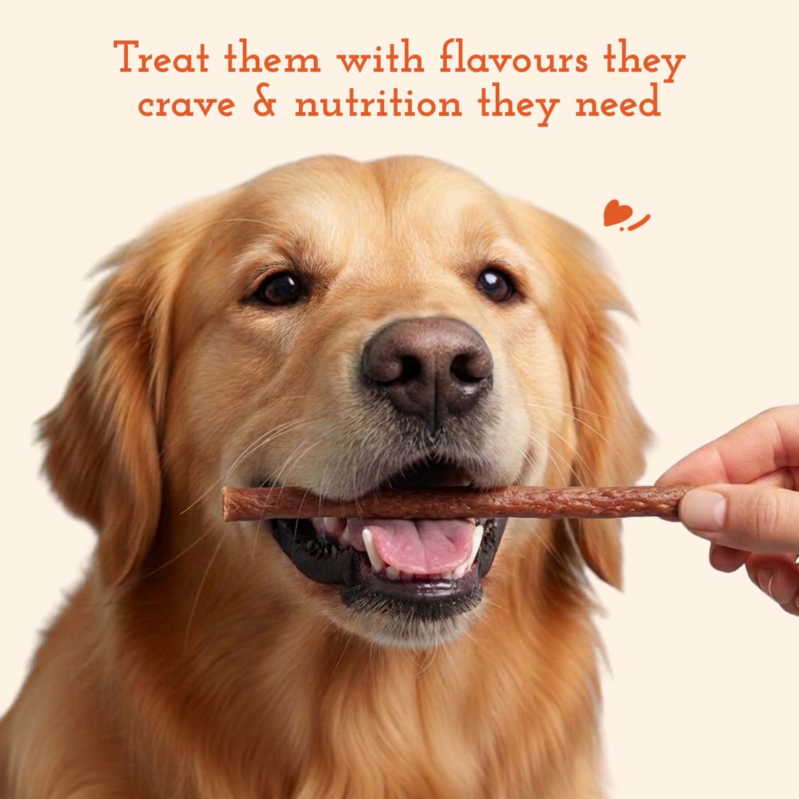 Pets Empire  Barkbite Chew Stix For Dogs