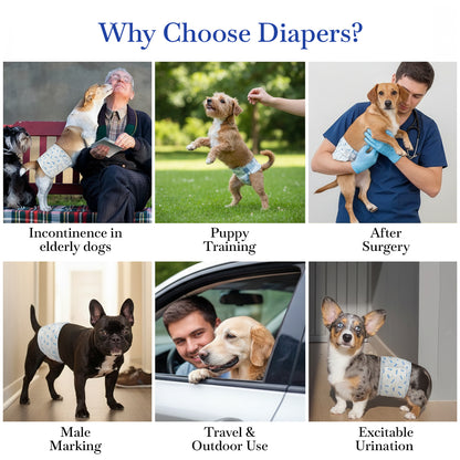 Pets Empire Male Dog Diapers
