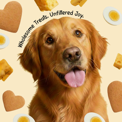 Pets Empire barkbites Egg & Cheese Biscuit Jar- 350g