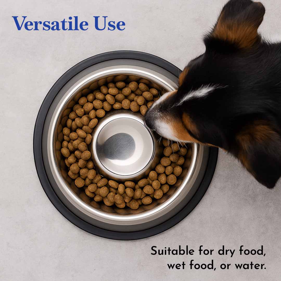 PETS EMPIRE Slow Feeder Dog Bowl