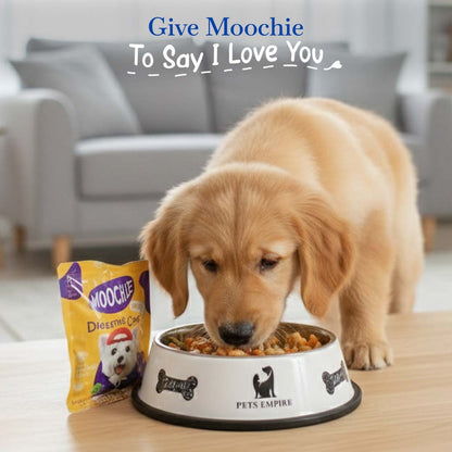 Moochie Digestive Care Wet Dog Food – 85g Pouch | Supports Healthy Digestion & Gut Wellness
