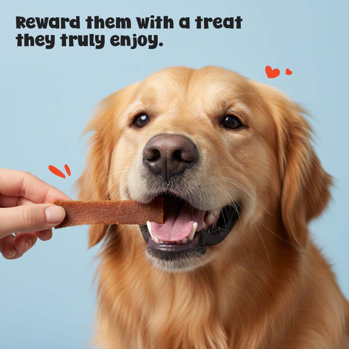 Pets Empire YO! Jerky  Treats For Dogs  (100gms)
