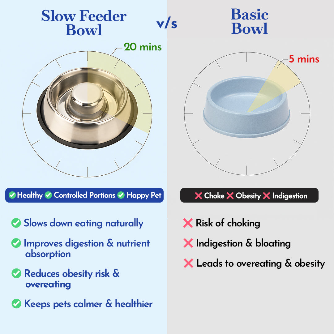 PETS EMPIRE Slow Feeder Dog Bowl
