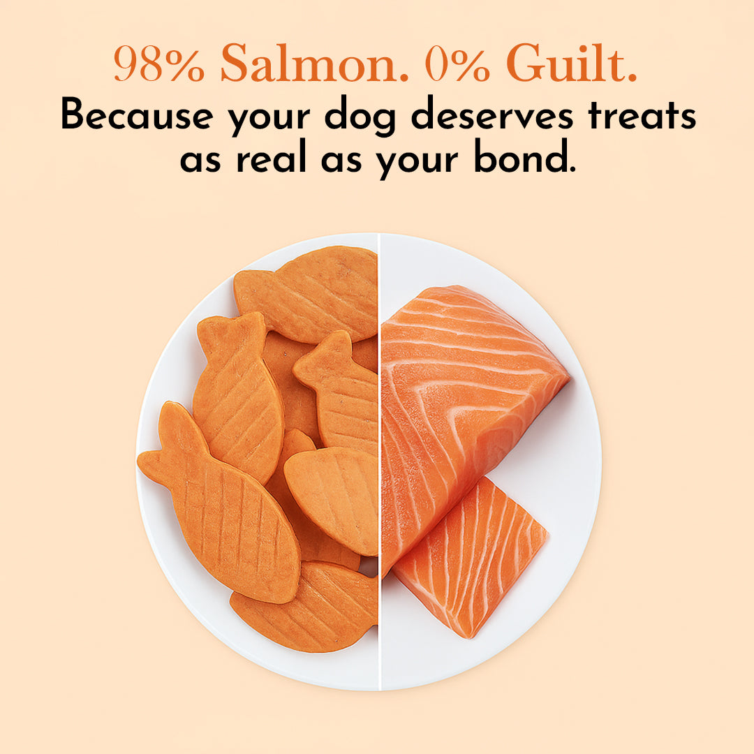 O'Dog Salmon Fillet in Fish shape - 100g
