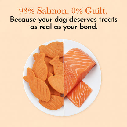 O'Dog Salmon Fillet in Fish shape - 100g