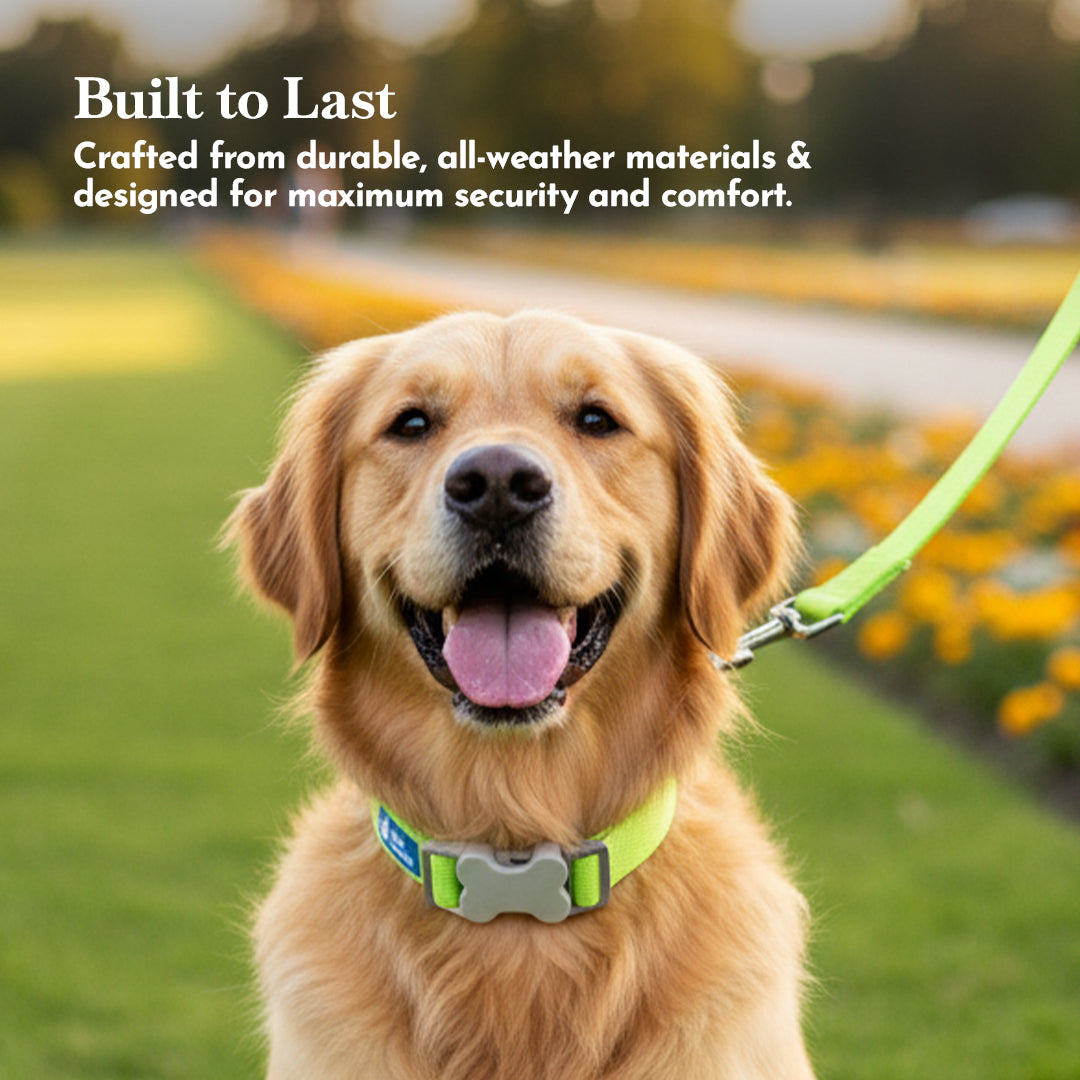 PETS EMPIRE Classic Dog Collar & Leash Set with Bow- Green